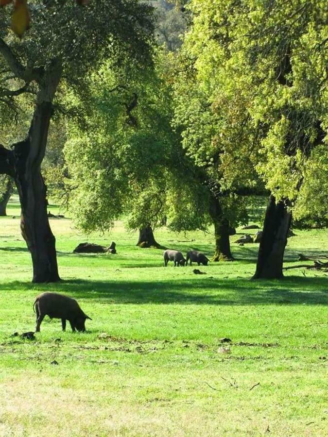 Вілла Sierra De Aracena Cala Huelva Екстер'єр фото